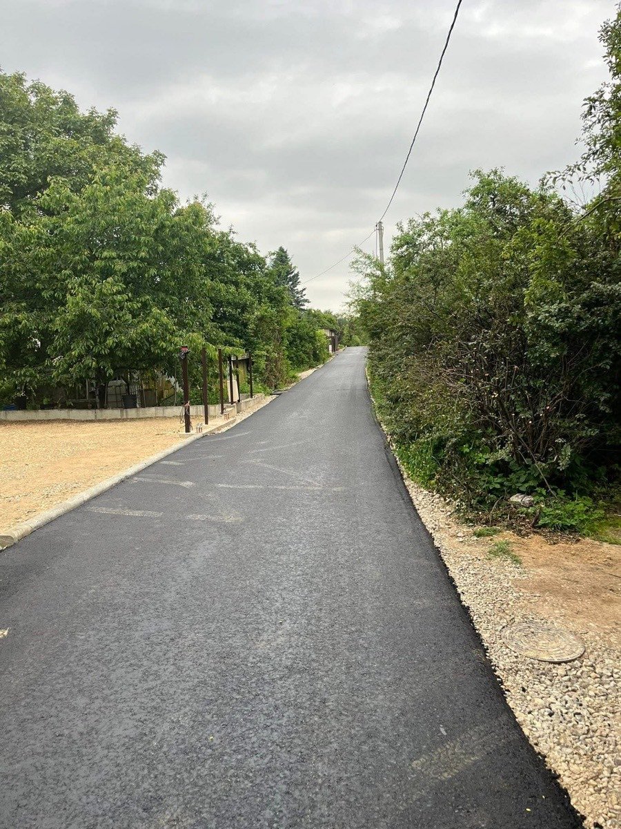 Asfaltuotas kelias su skaldos kraštais medžių alėjoje