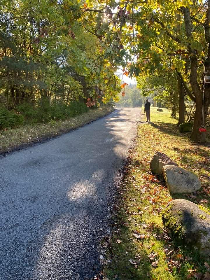 Frezuoto asfalto kelias miško alėjoje rudenį